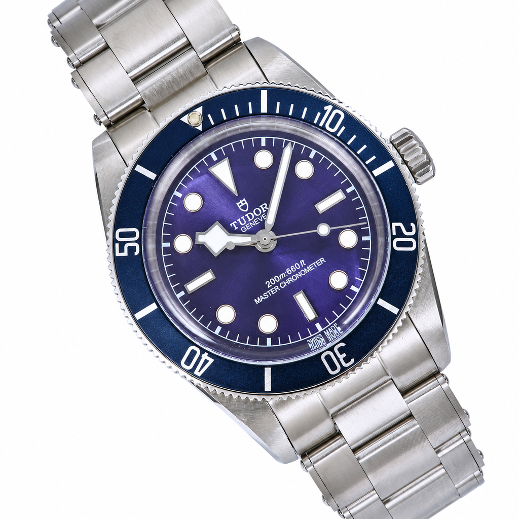 Tudor Black Bay 39mm Professional Automatic Steel Watch